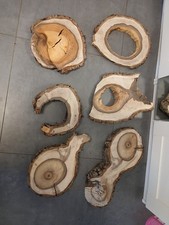 Hohle bzw morsche Nussbaum Baumscheibe Holzscheibe Rinde DEKO Basteln Øca40 DIY
