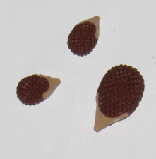 playmobil Igel Familie 9262