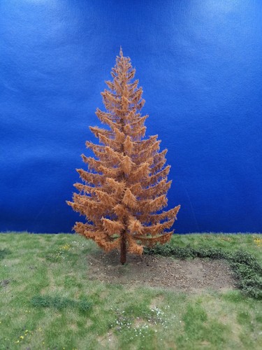 Modellbaum lärche herbst - modellbaum-, herbst-