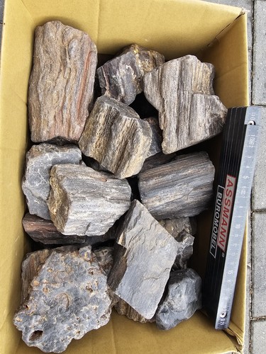 Kieselholz versteinertes holz - kieselholz,