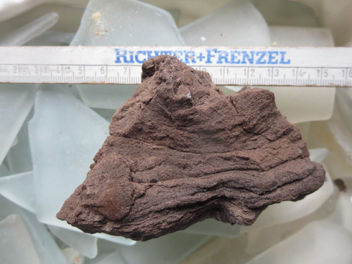 Fossiles verkieseltes holz - fossiles,