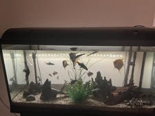 Aquarium 200 Liter mit
