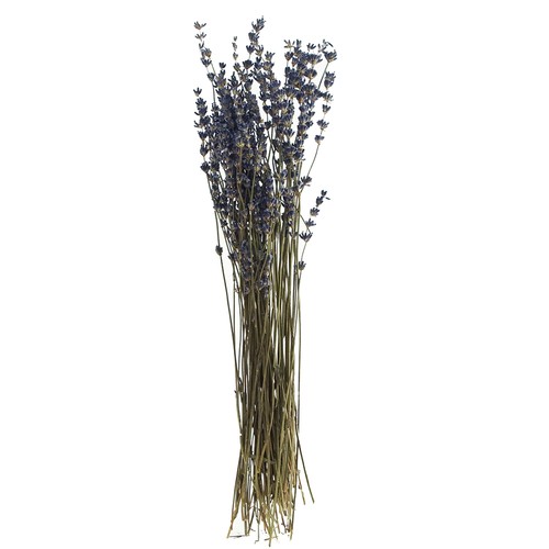 Lavendel natur blau - ,, g