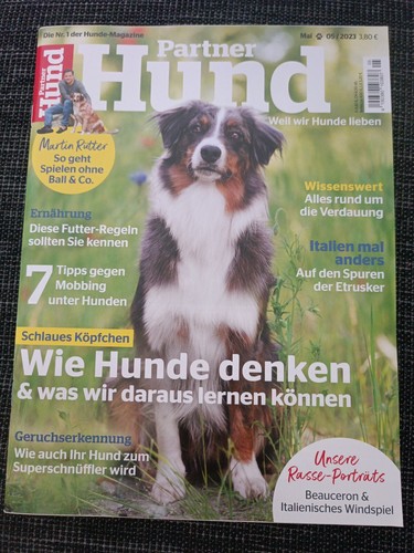 Partner hund mai - partner, 2023