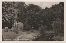 2024 178 regenwalde - ak,,