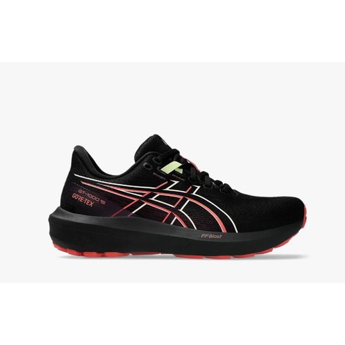 Asics 1000 gtx - gt-1000, 15