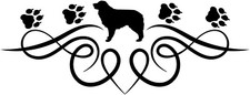 Australian shepherd - australian,