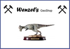 Saurier Modell auf Sockel