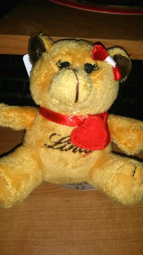 Kleine kuschelbär von lindt - von,