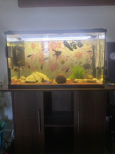 Aquarium mit unterschrank und - aquarium,