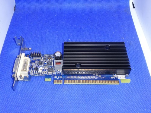 Pny verto nvidia geforce - pny,