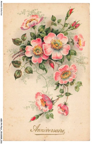 Azkp4 0277 blume geburtstag - azkp4-0277-blume,