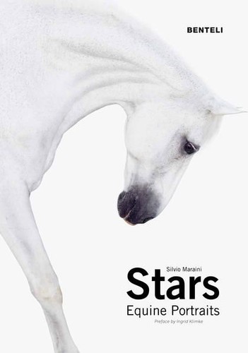 Stars equine portraits - stars.,