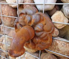 Wasserspeier Auslauf Blume Wasser Antik Guß Eisen Wasserauslauf Brunnen Speier