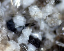 MM - Amphibol,Haematit xx Bellerberg EIFEL -SEHR SEHR SEHR SEHR SCHÖN-