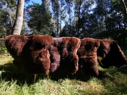 öko schaffell natur - Öko,