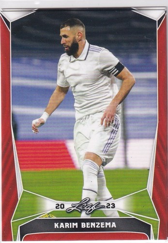 Leaf trading card soccer - leaf,