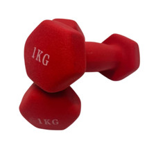 Hanteln vinyl 1 kg - ❌hanteln,