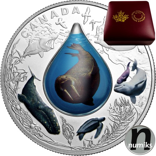 Underwater life kanada 2017 - life,
