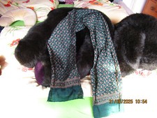 gemusterter Herrenschal + Einstecktuch