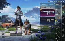 pubg mobile accounts sell best