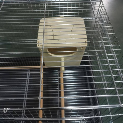 Vogelzuchtbox mit klappdeckel - mit,