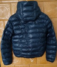 Andrea D'Amico Bologna Stepp-