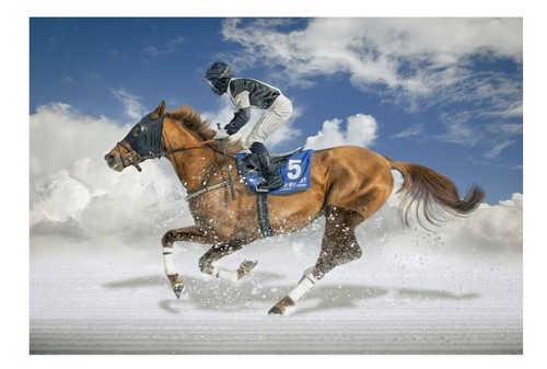 Puzzle 1500 teile - puzzle,