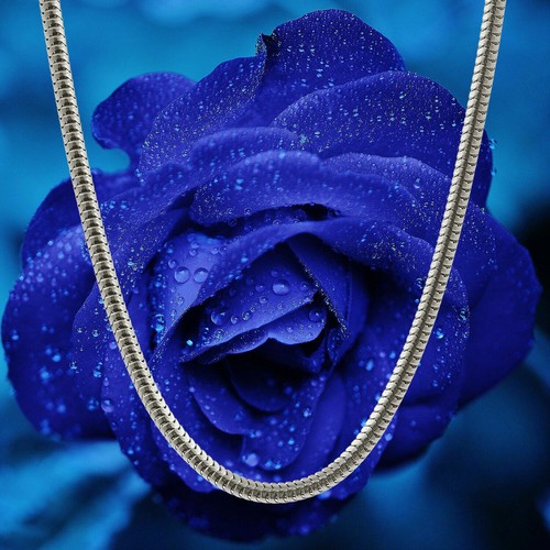 Silberkette 925 silber - 925,