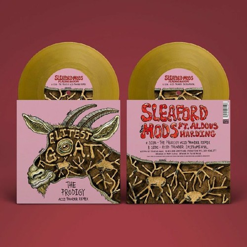 Sleaford mods elitest goat - mods,