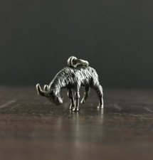 Charms Anhänger Silber 925