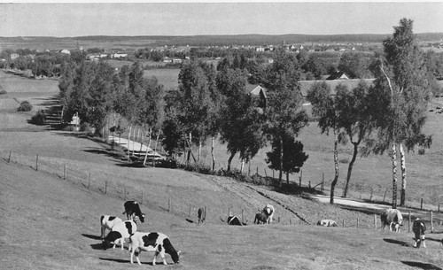 Die landschaft bei - die,