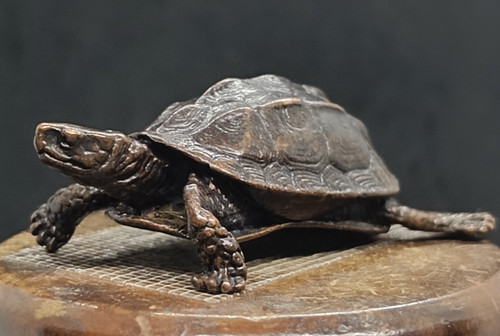 Antike skulptur schildkröte - antike,