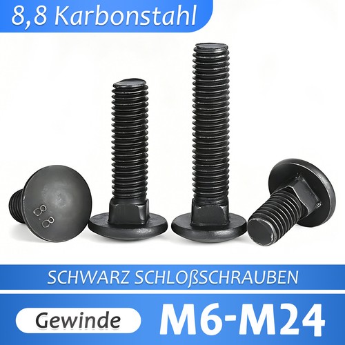 M10 m12 m24 - m10,