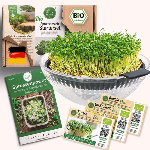 Kresse anzuchtschale glas set - kresse,