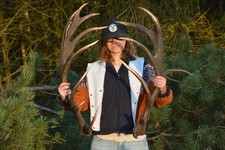 Hirschgeweih – Echtes