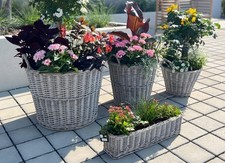 Rattan Pflanzkorb Blumenkasten "Koboo Grey" Blumentopf grau, groß, Pflanz Kasten