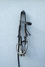 Antike Trense / Fahrtrense mit