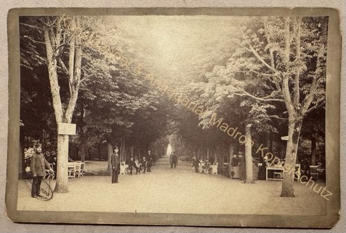 Orig fotografie waldenburg - orig.,