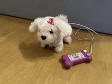 Simba ChiChi Love Little