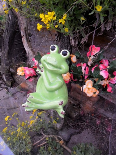 Lustig frosch keramik - frosch,