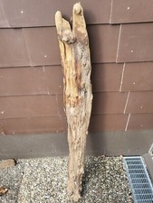 Treibholz Wurzel Ast Brett