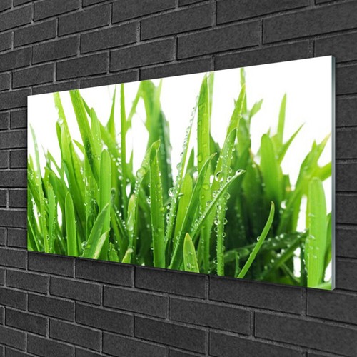 Glasbilder 100x50 wandbild - glasbilder,