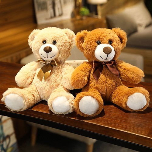 Teddybär teddy bear - teddybär,