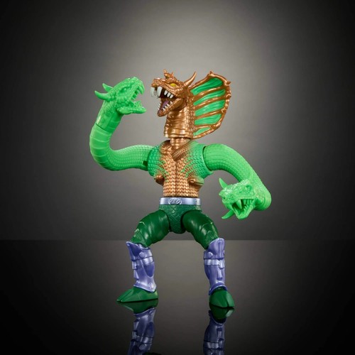 Motu schildkröten - schildkröten, of