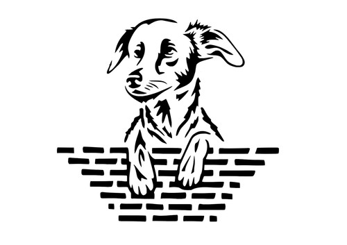 Schablone hund auf mauer - schablone,