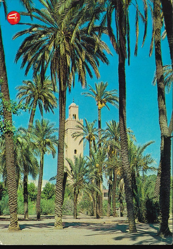 Marocco marokko marrakesch - marocco,