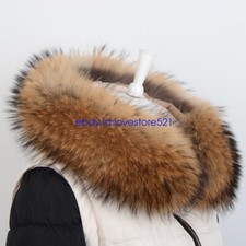 15cm Breite Groß Echte