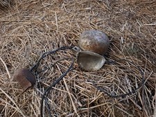 6V Hella Schnecken Hupe Horn