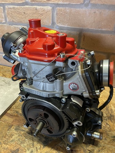 Rotax max senior evo motor - max,